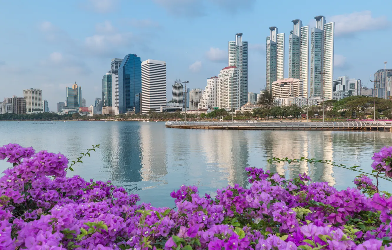 Фото обои пейзаж, цветы, city, город, река, Таиланд, Thailand, river