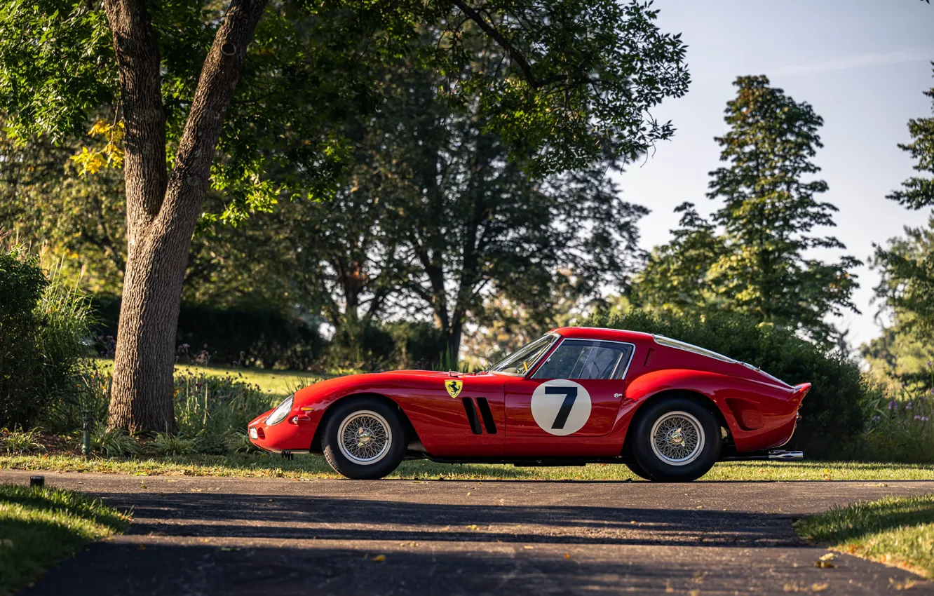 Фото обои Ferrari, 1962, 250, Ferrari 250 GTO, side view, Ferrari 330 LM