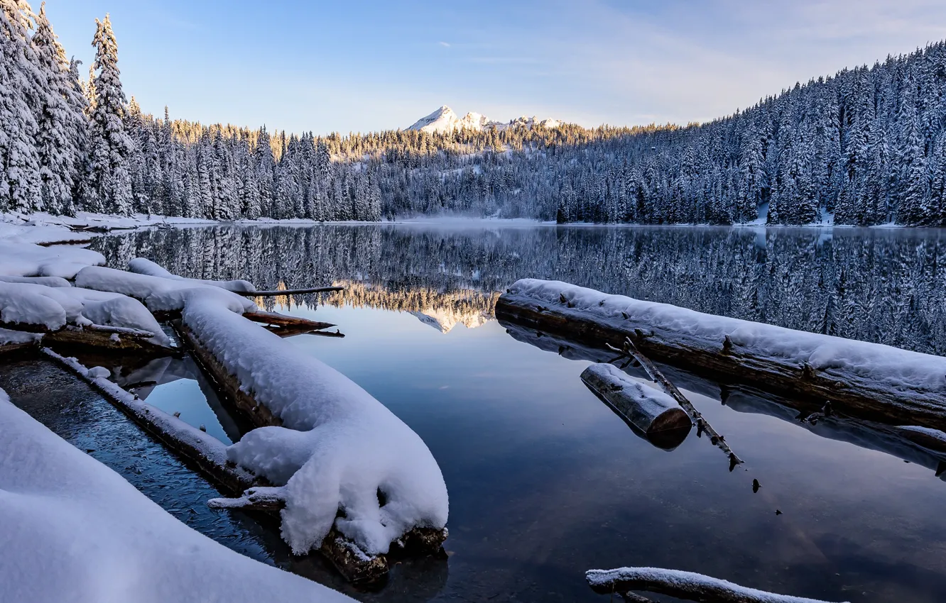 Фото обои лес, небо, свет, снег, горы, озеро, отражение, берег