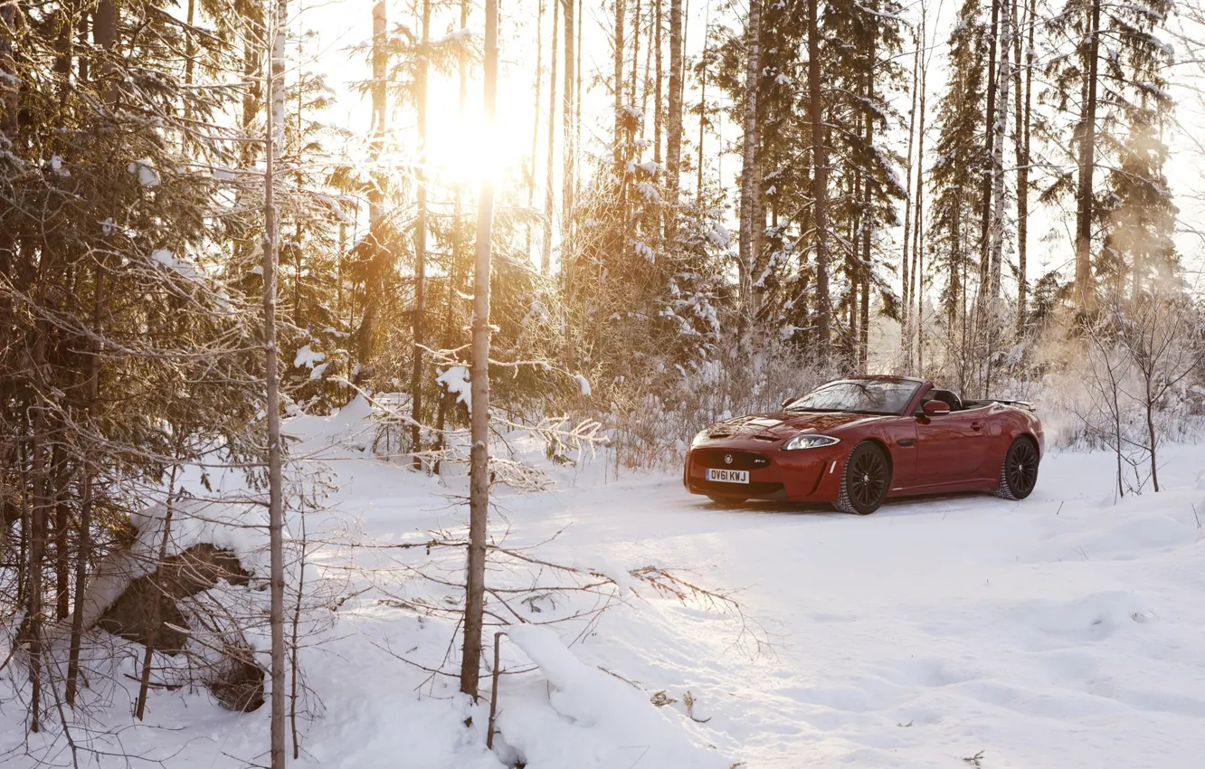 Фото обои зима, лес, солнце, снег, красный, Jaguar, ягуар, кабриолет