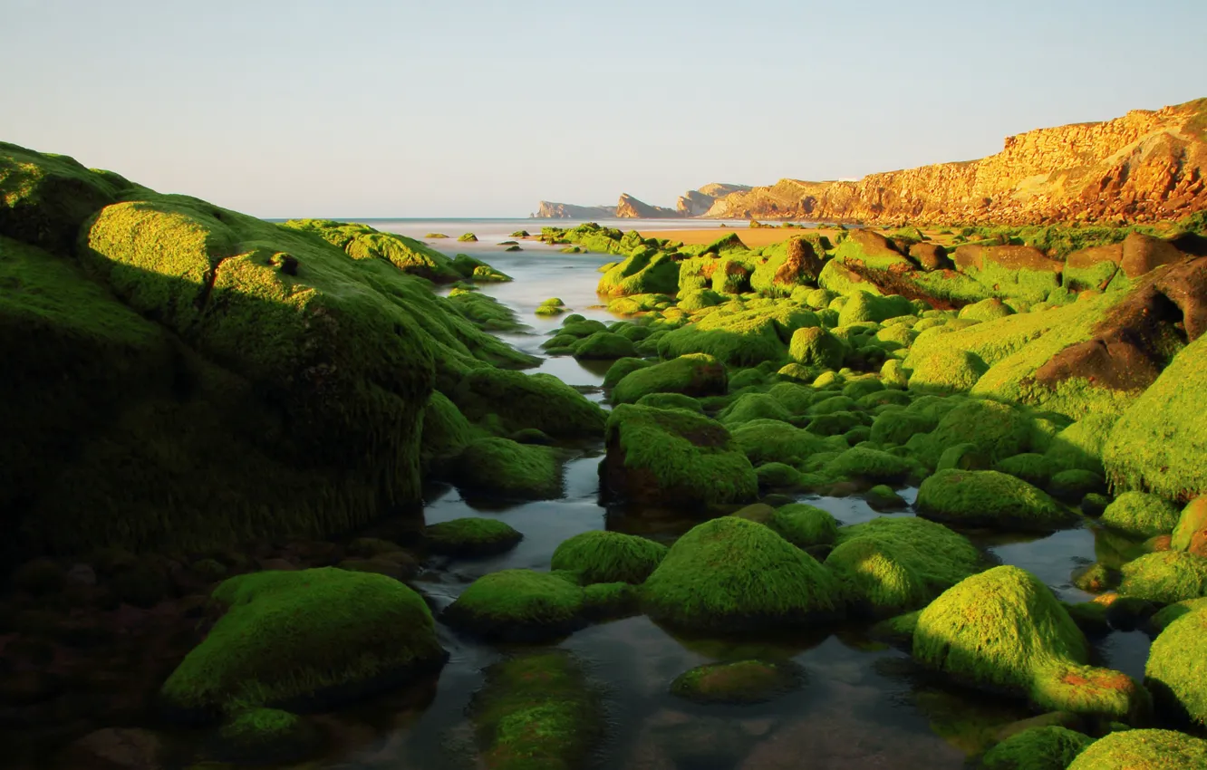 Фото обои море, небо, водоросли, камни, скалы