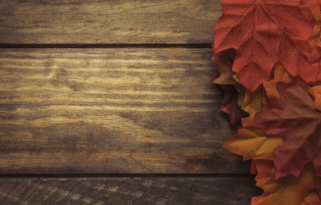 Фото обои осень, листья, фон, доски, colorful, red, клен, wood
