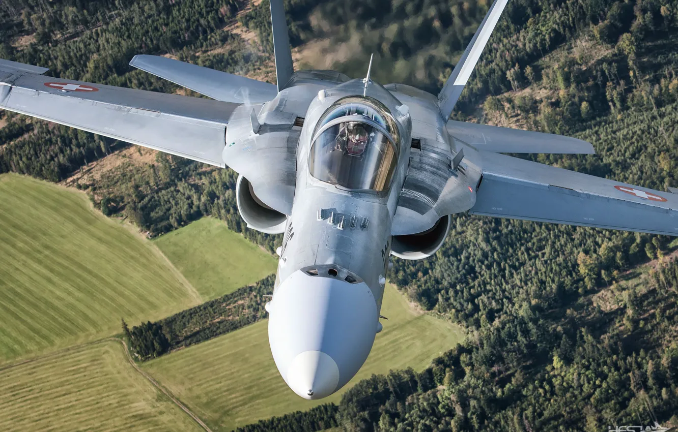 Фото обои Поле, Лес, Истребитель, Пилот, ВВС Швейцарии, F/A-18 Hornet, Кокпит, ИЛС