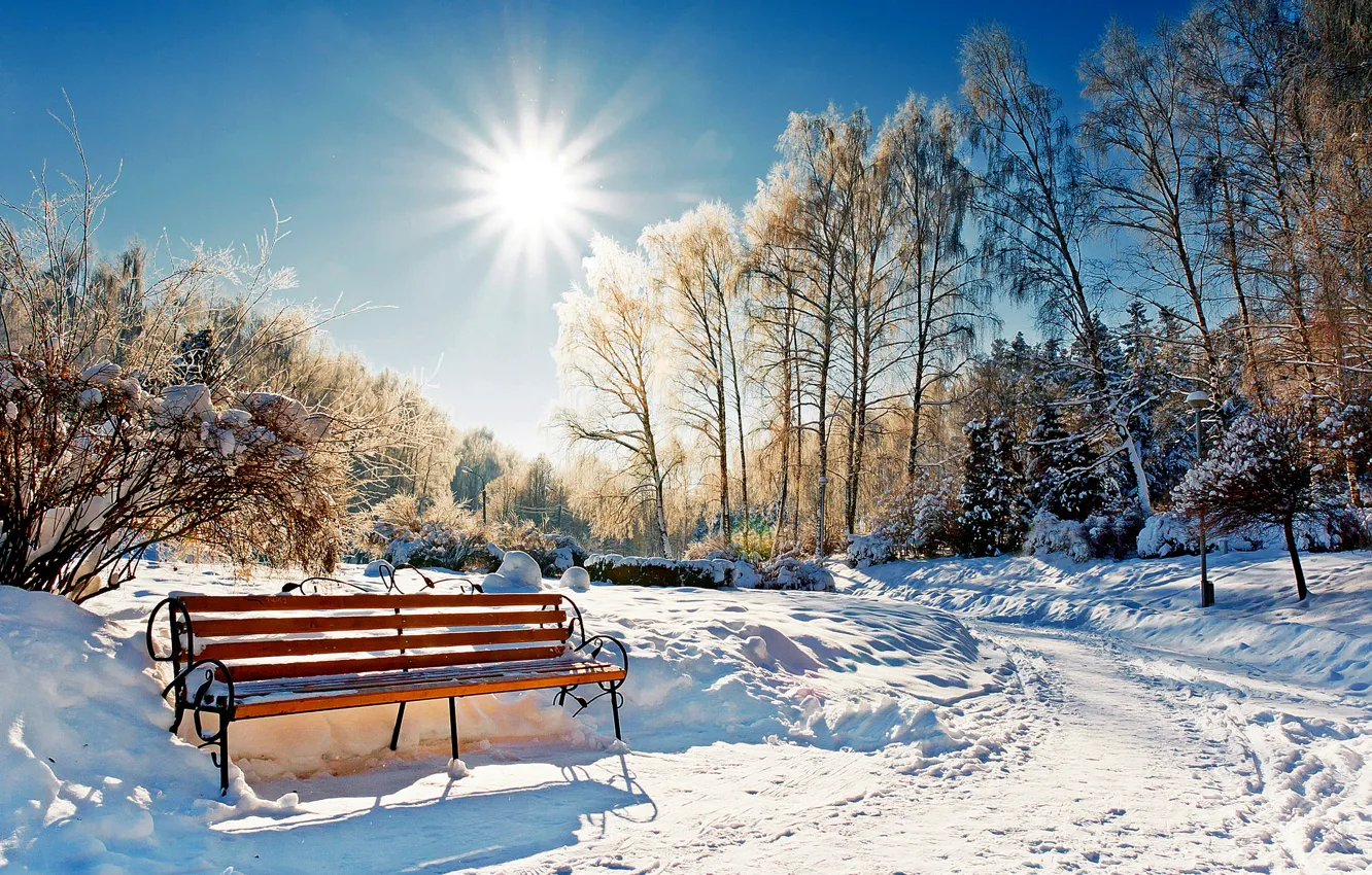 Фото обои зима, лес, небо, солнце, снег, пейзаж, скамейка, природа