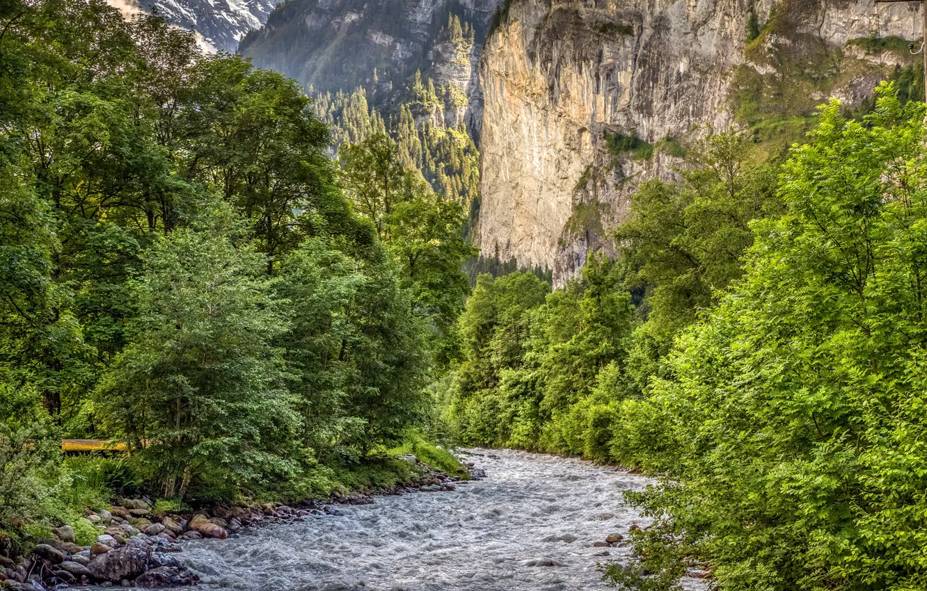 Фото обои зелень, лес, деревья, горы, камни, скалы, Швейцария, речка