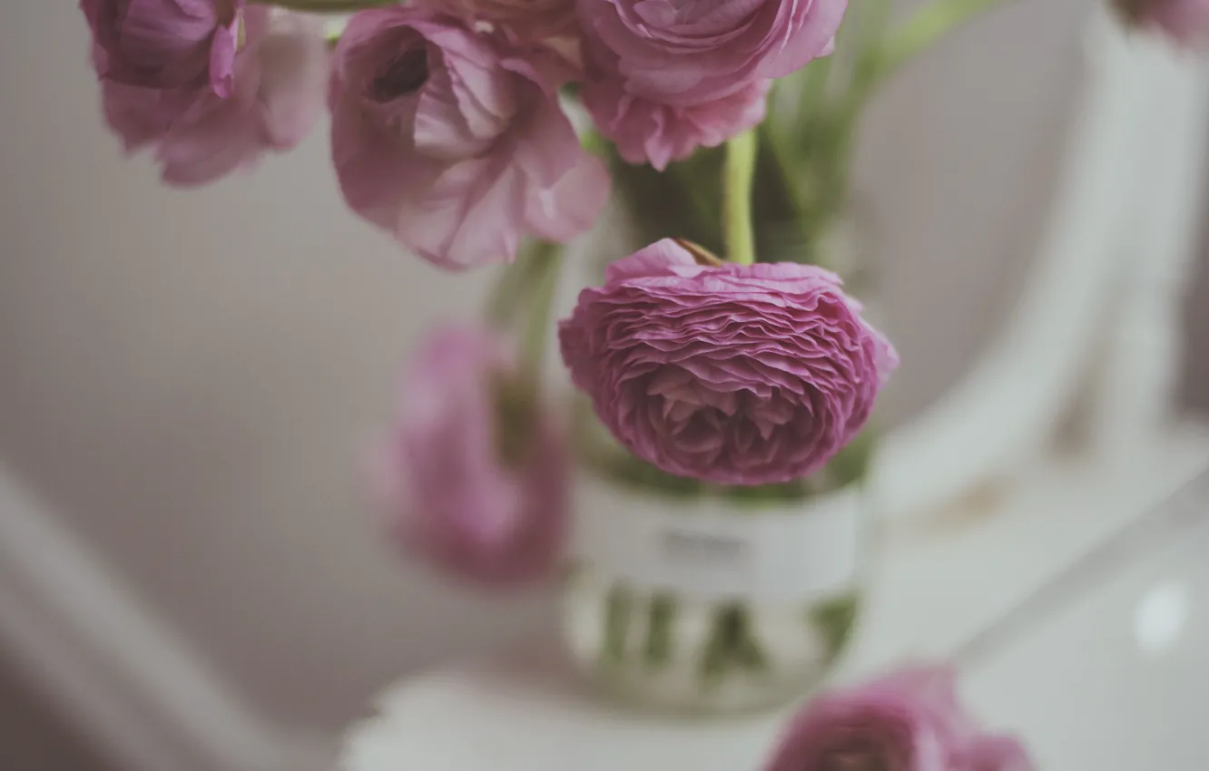 Фото обои цветок, лепестки, розовые