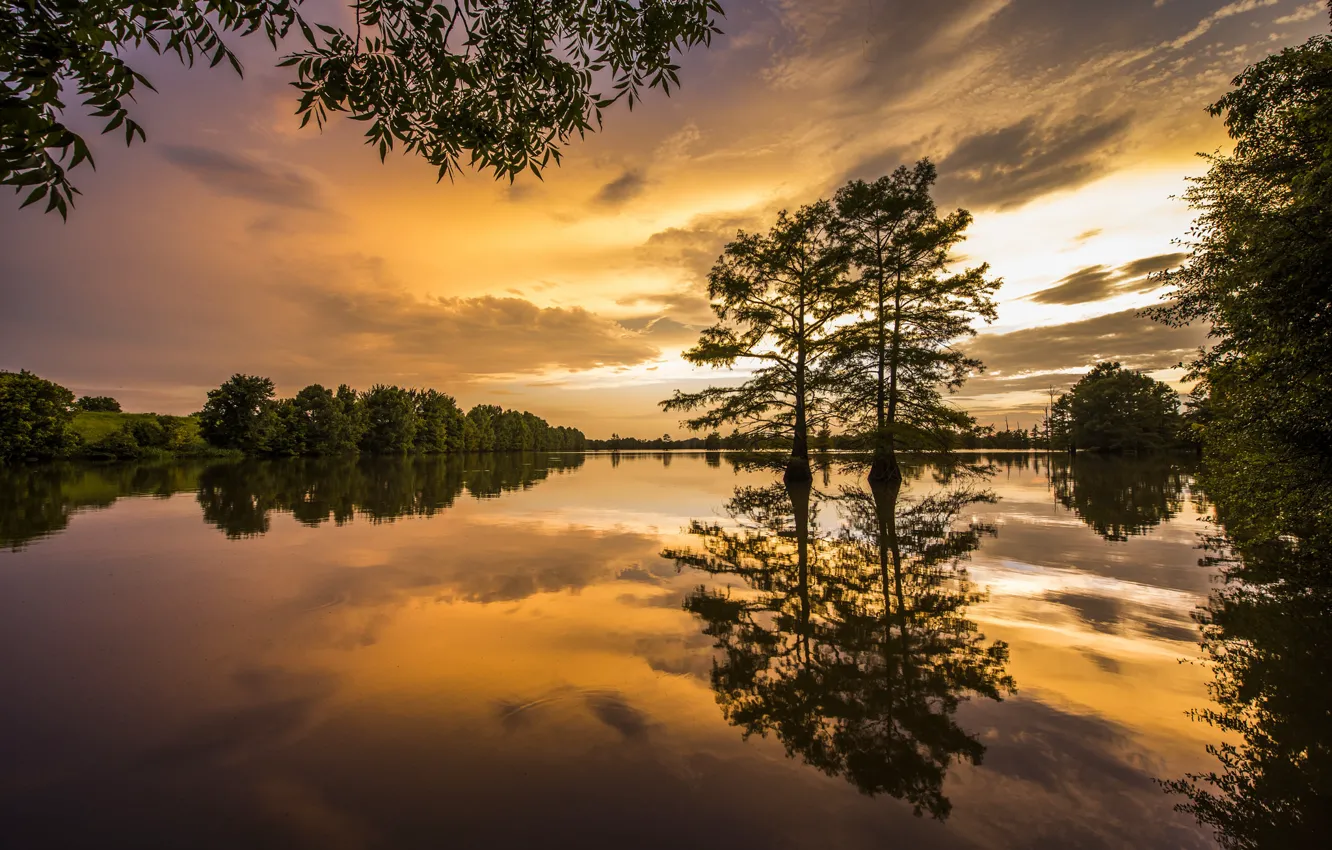 Фото обои деревья, закат, отражение, река, Arkansas, Арканзас, Mississippi River, река Миссисипи