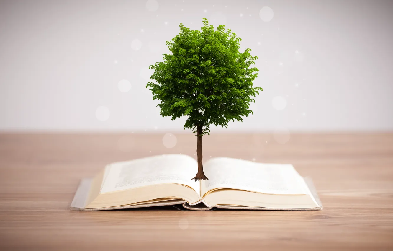 Фото обои дерево, книга, предмет