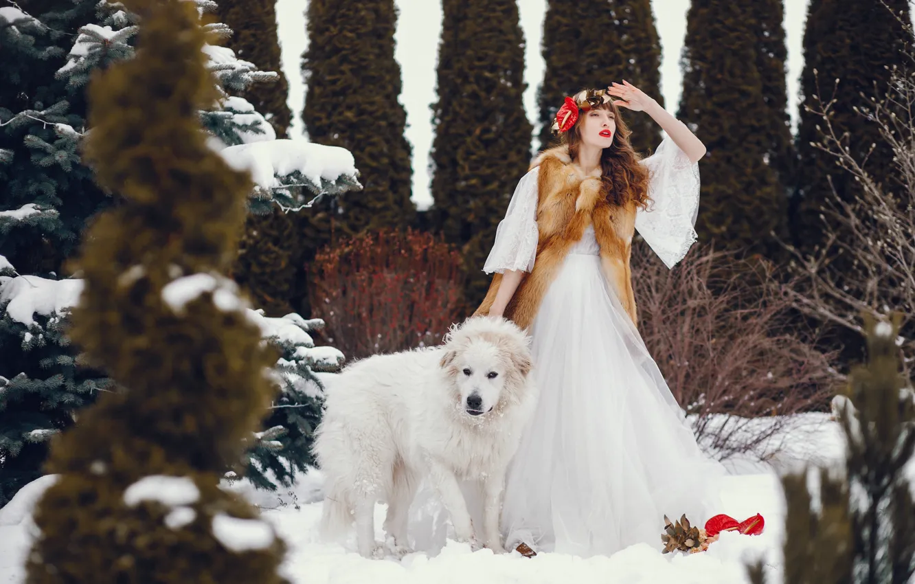 Фото обои девушка, парк, собака