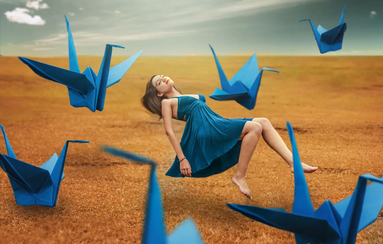 Фото обои девушка, фон, журавли