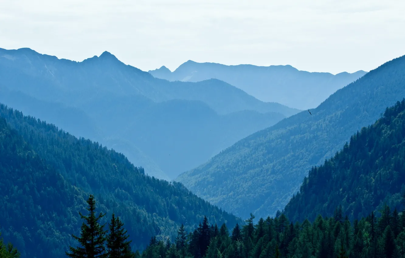 Фото обои деревья, пейзаж, горы