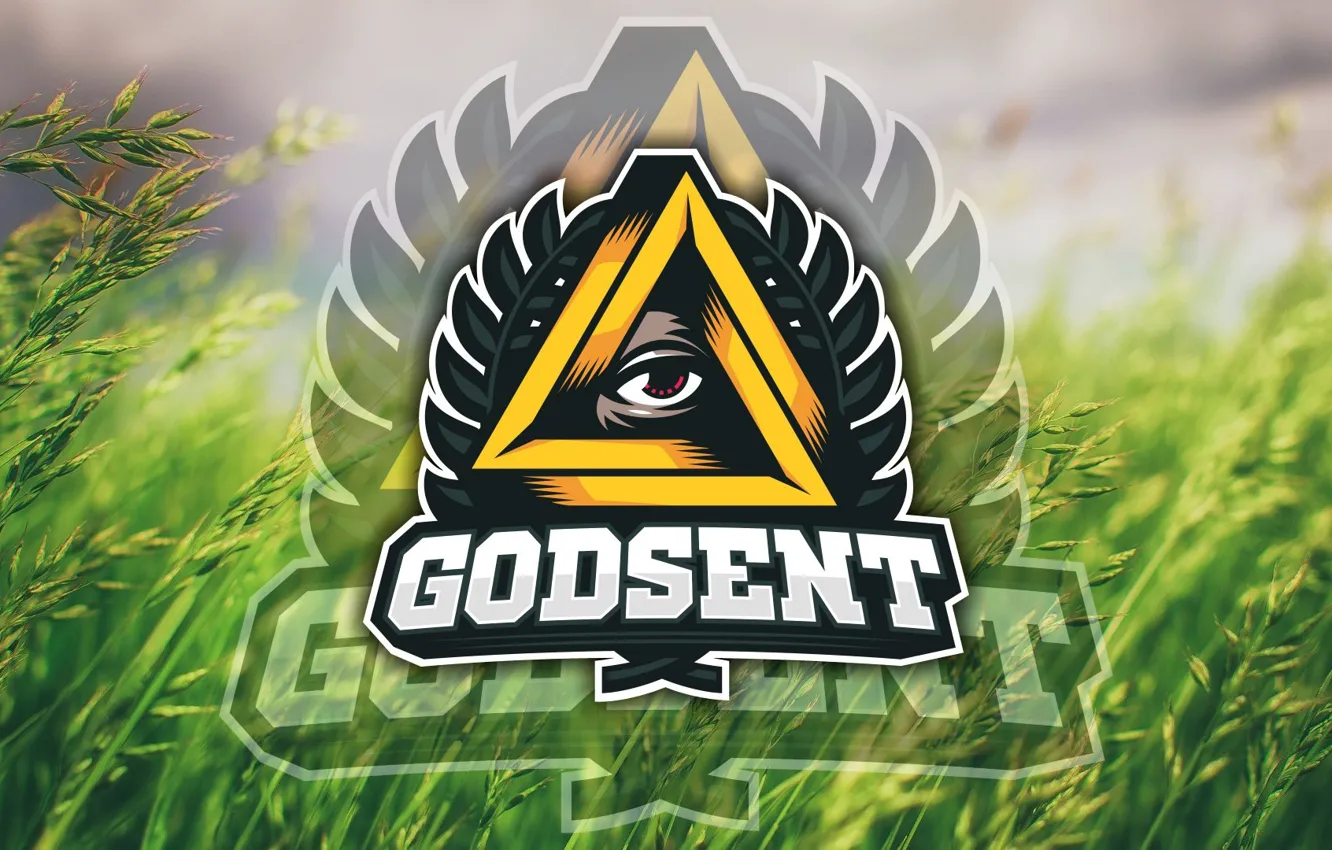 Фото обои logo, grass, team, counter-strike, global offensive, meadow, csgo, cs go