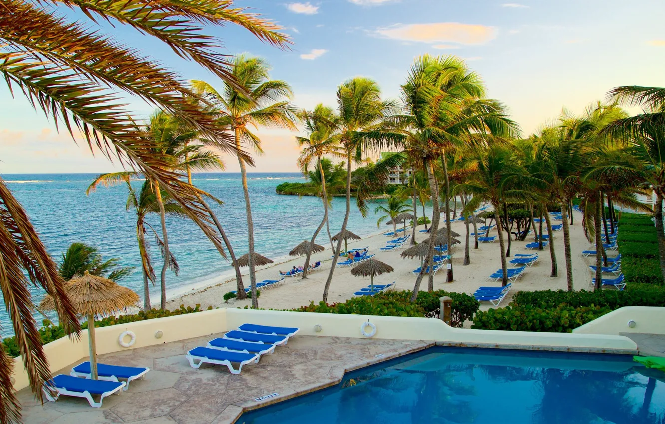 Фото обои пляж, пальмы, отдых, бассейн, лежаки, Карибы, Антигуа и Барбуда