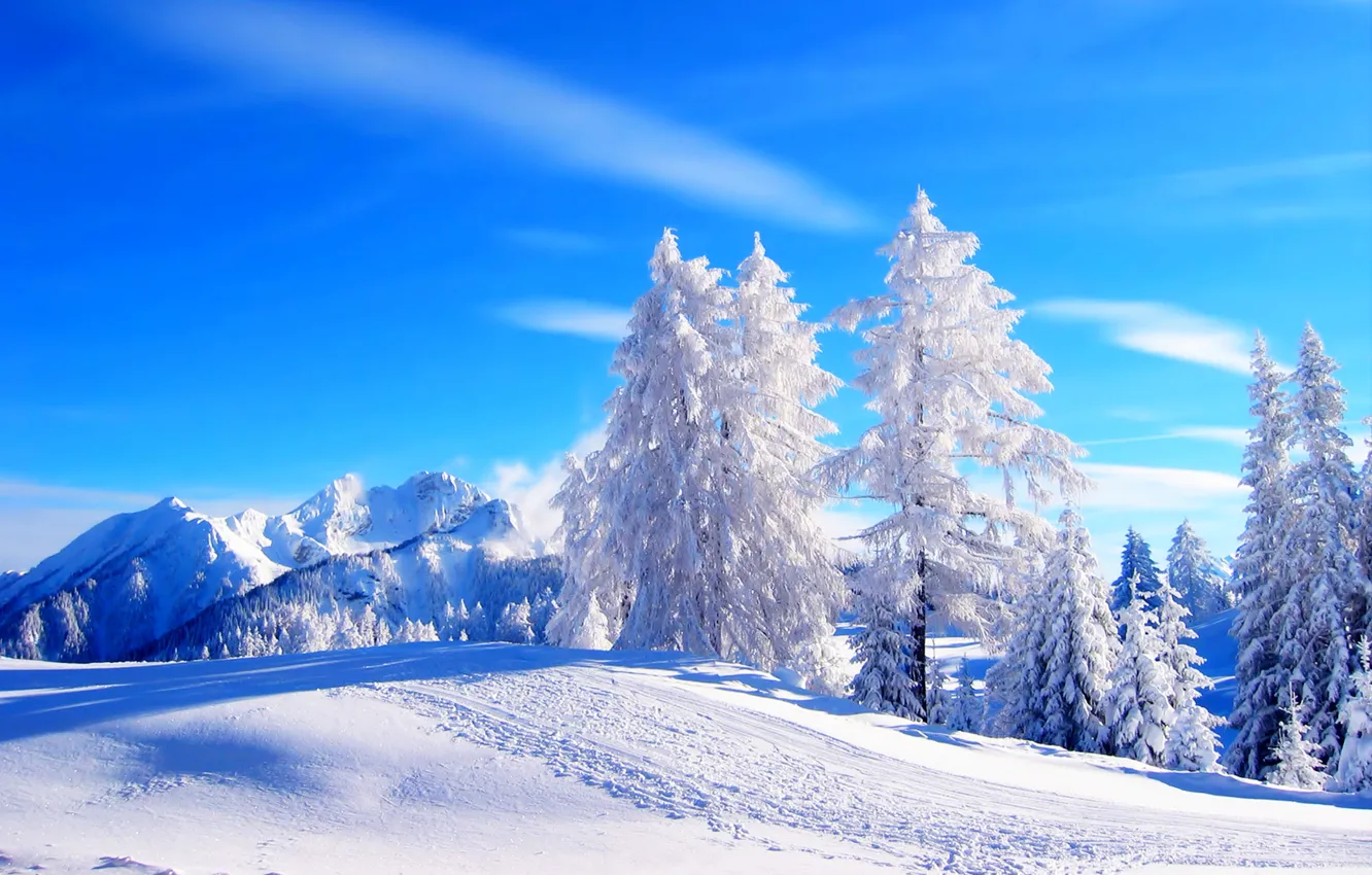 Фото обои зима, дорога, лес, небо, снег, деревья, пейзаж, горы