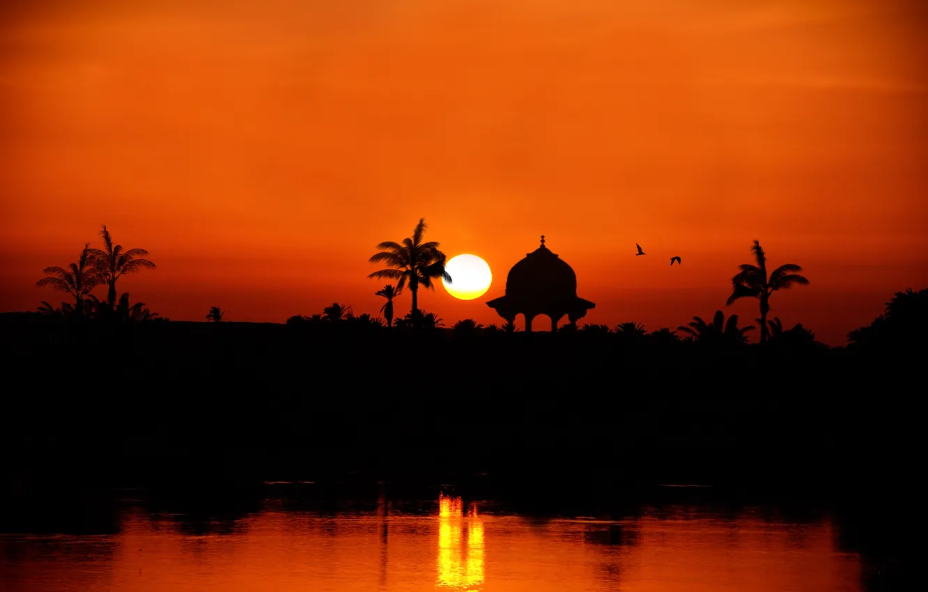 Фото обои закат, река, пальмы, силуэт, Egypt, the Nile River towards Assuan
