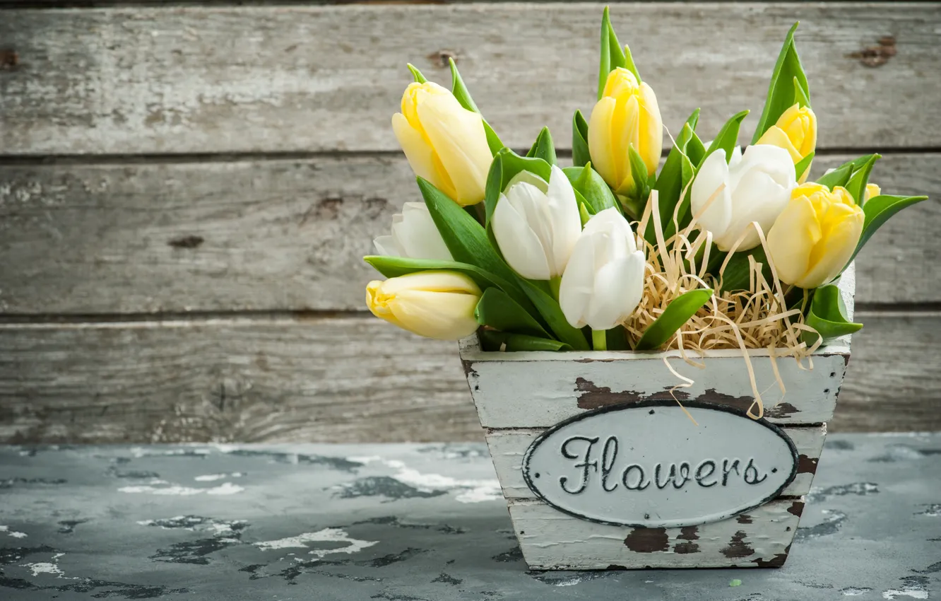 Фото обои букет, желтые, тюльпаны, белые, IRINA BORT