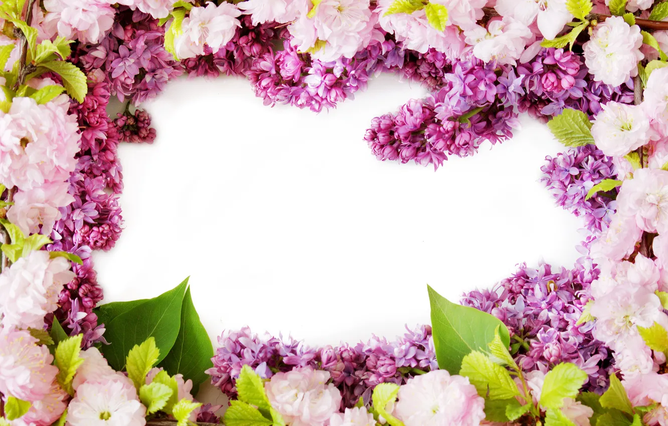 Фото обои цветы, весна, цветение, flowers, сирень, spring, lilac bloom