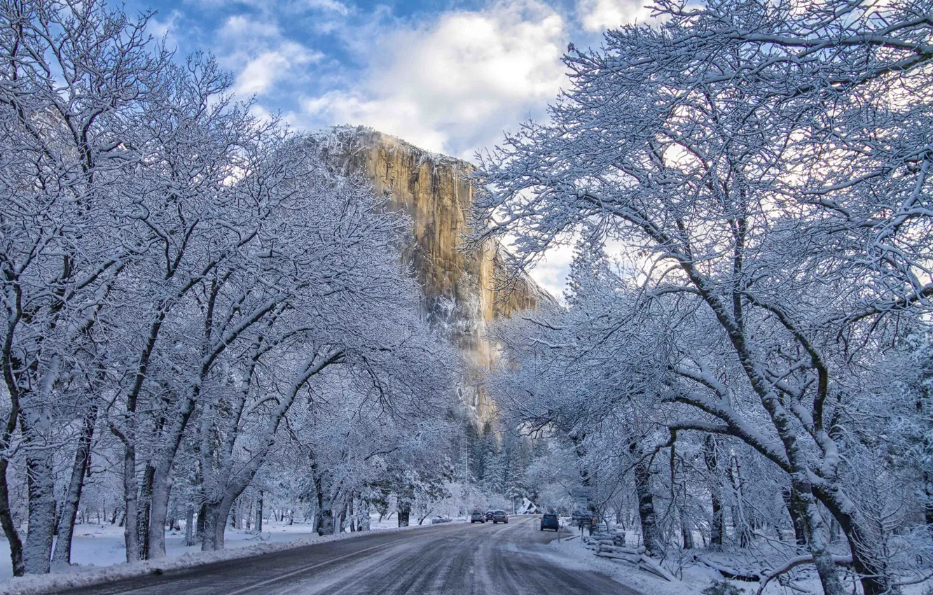 Фото обои зима, природа, Yosemite National Park, El Capitan