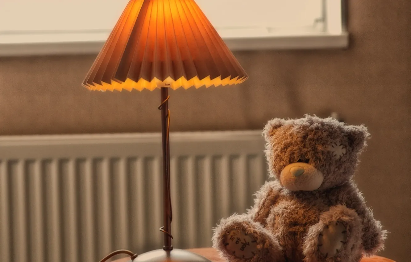 Фото обои игрушка, лампа, медведь, мишка, teddy, тэдди