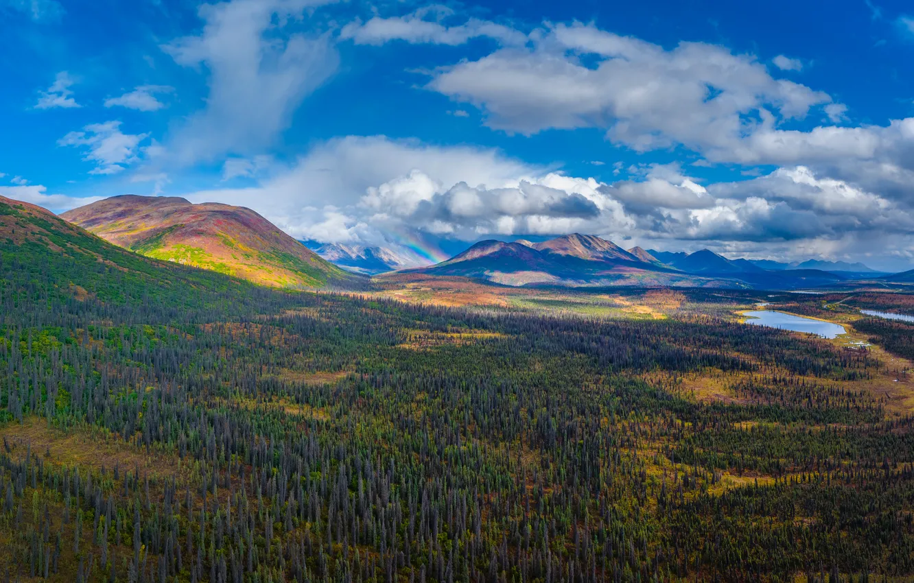 Фото обои пейзаж, горы, панорама, США, Denali National Park