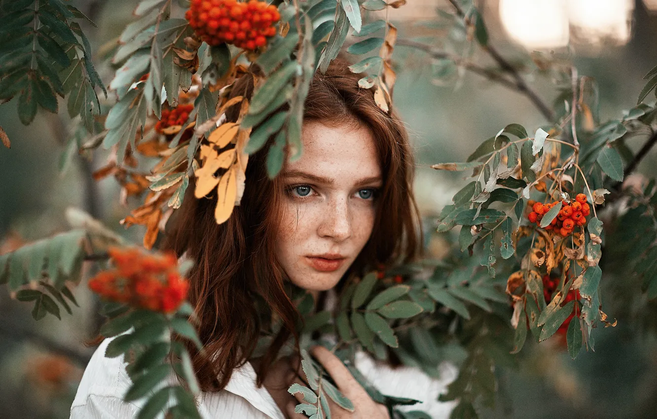 Фото обои взгляд, листья, девушка, ветки, лицо, ягоды, портрет, веснушки