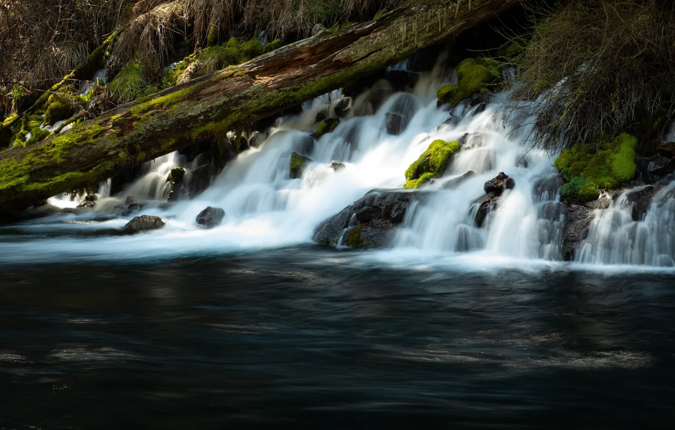 Фото обои река, камни, водопад, бревно