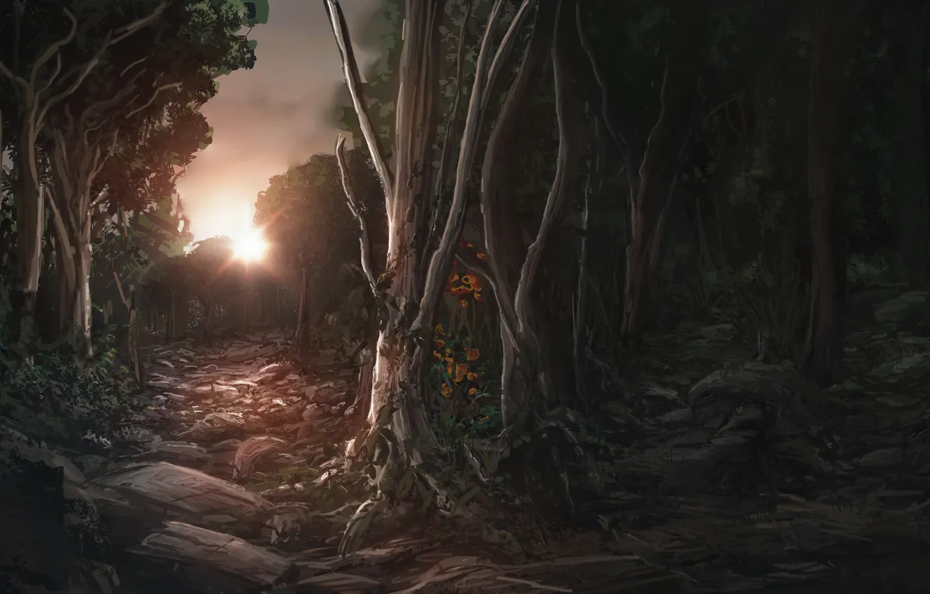 Фото обои лес, солнце, деревья, закат, камни, арт