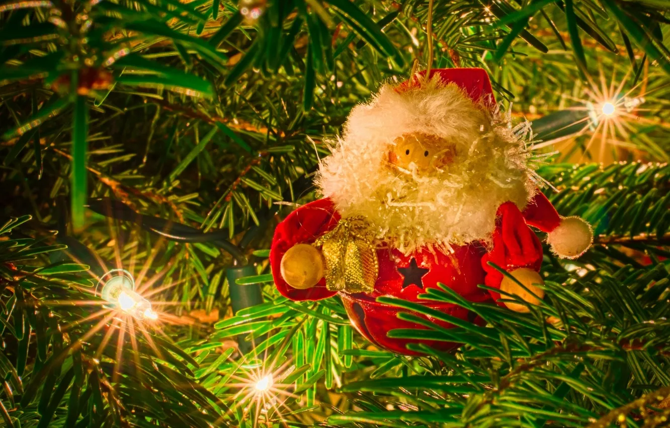 Фото обои иголки, ёлка, гирлянда, Дед Мороз, лампочки