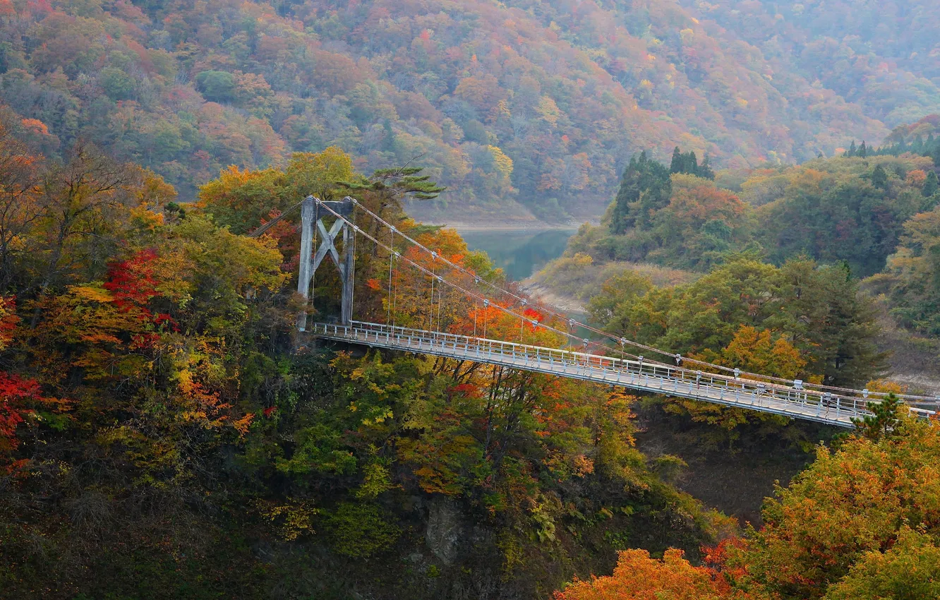Фото обои осень, лес, деревья, горы, мост, река, склон