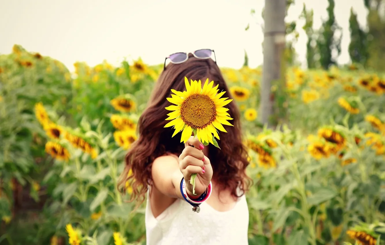 Фото обои поле, девушка, цветы, фон, обои, настроения, волосы, подсолнух