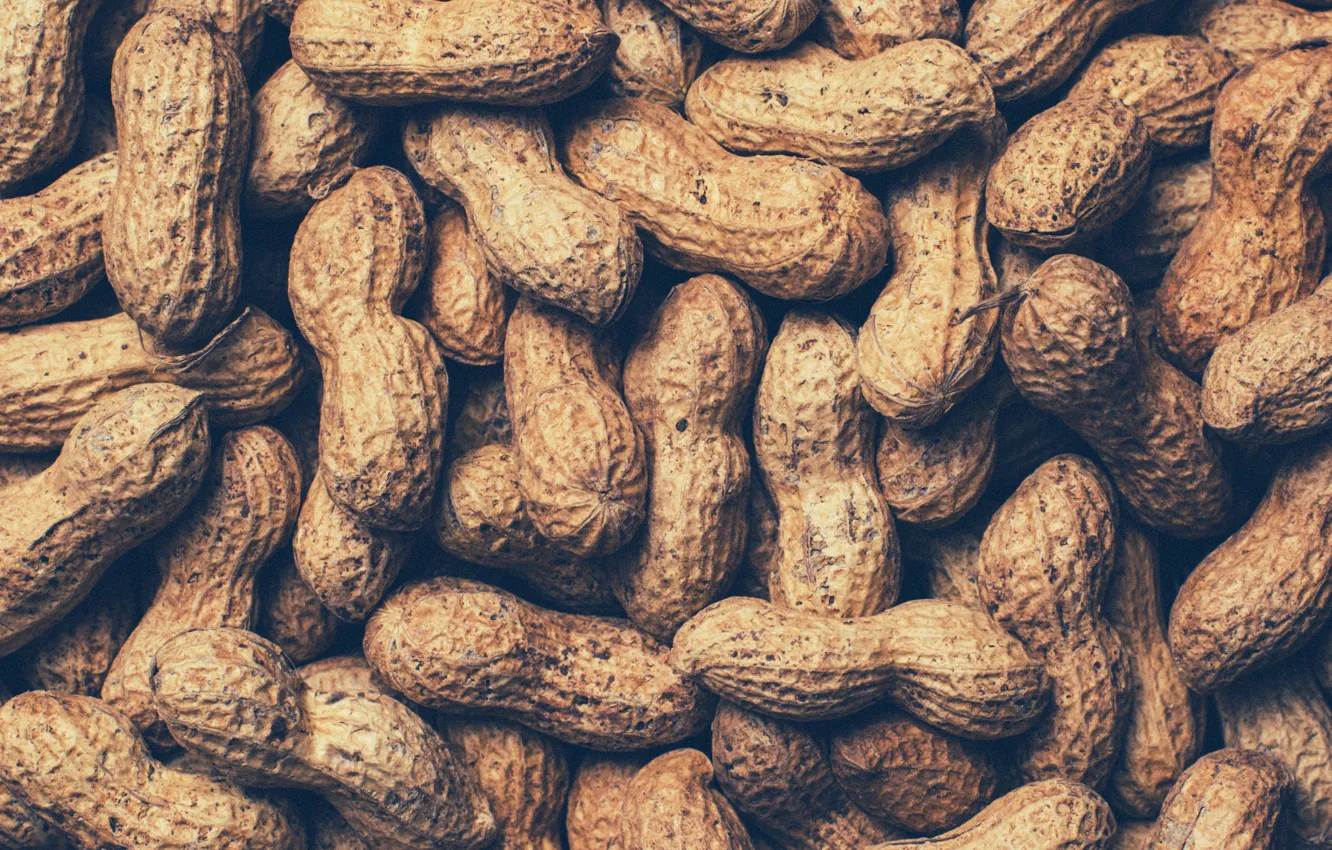 Фото обои орех, nuts, арахис, peanuts