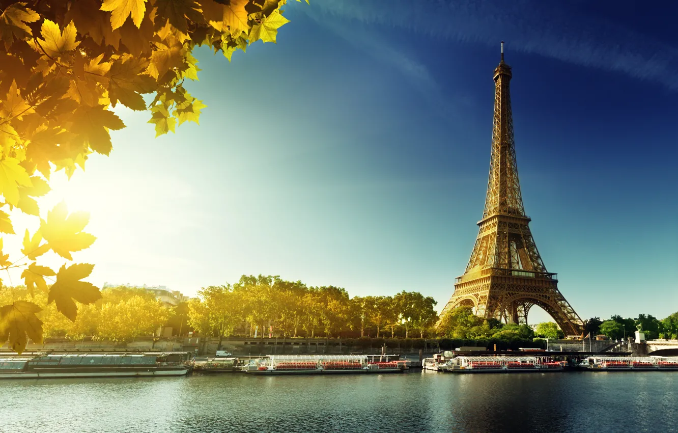 Фото обои осень, Париж, Paris, France, autumn, leaves, Eiffel Tower