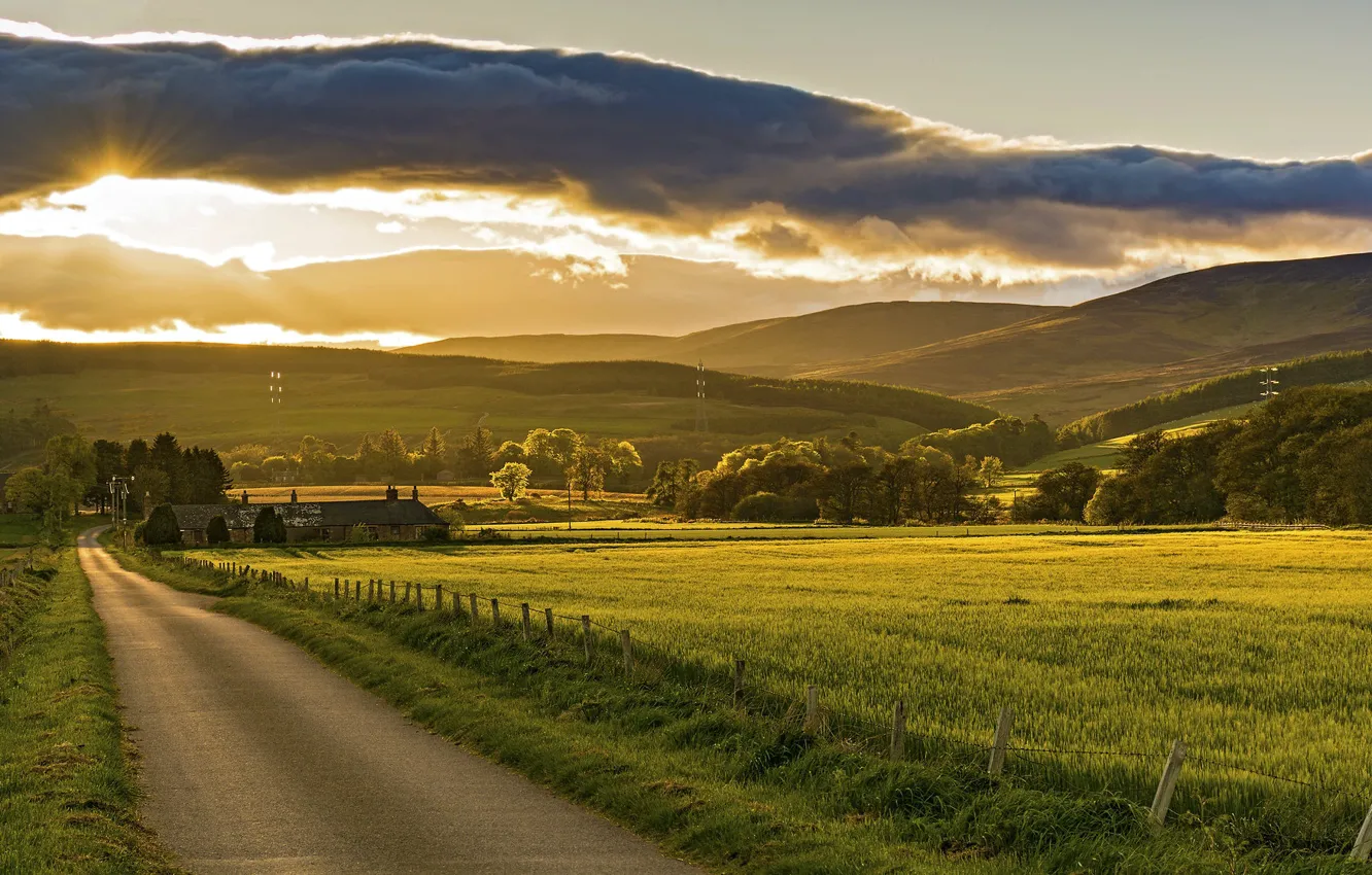 Фото обои дорога, поле, Шотландия