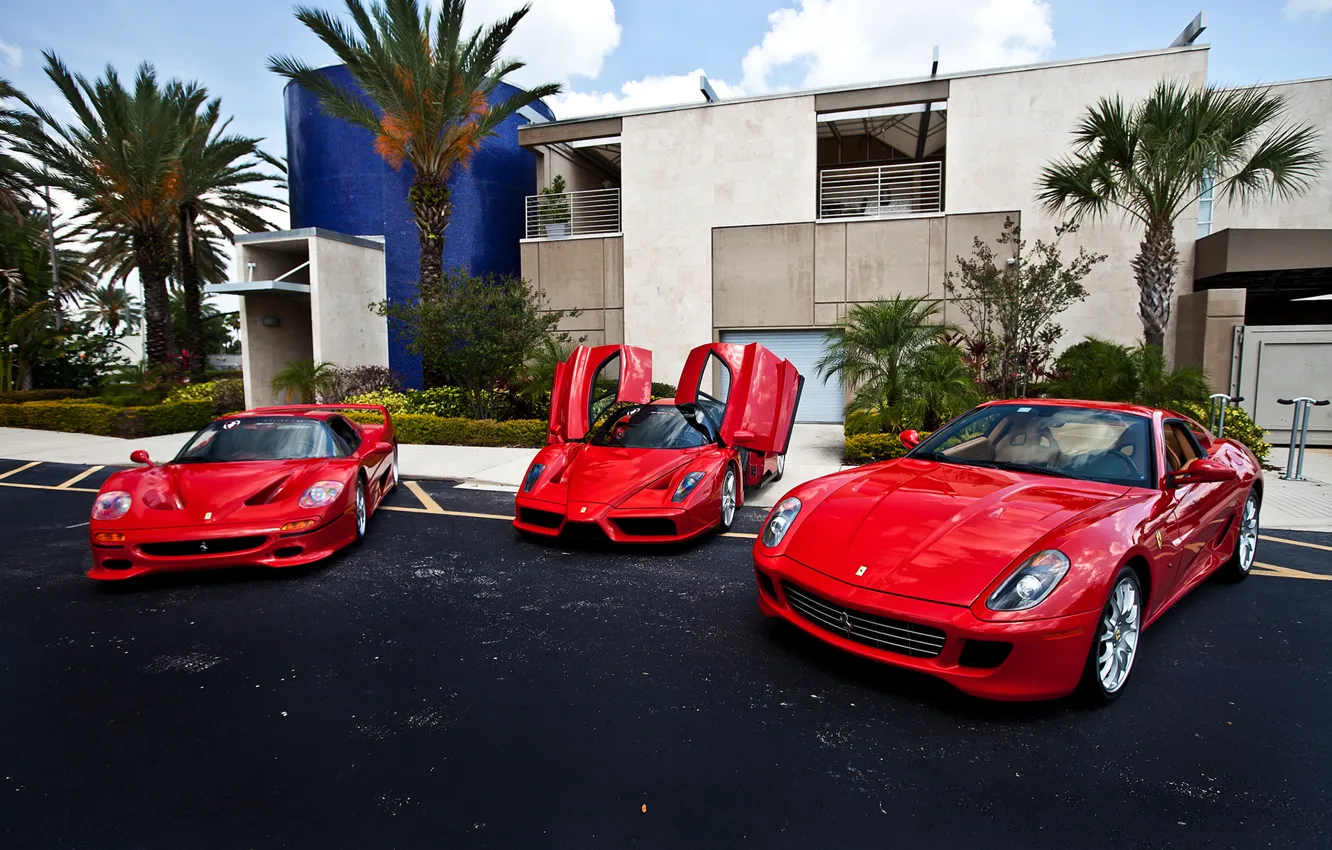 Фото обои красный, пальмы, здание, Ferrari, red, феррари, 599, enzo