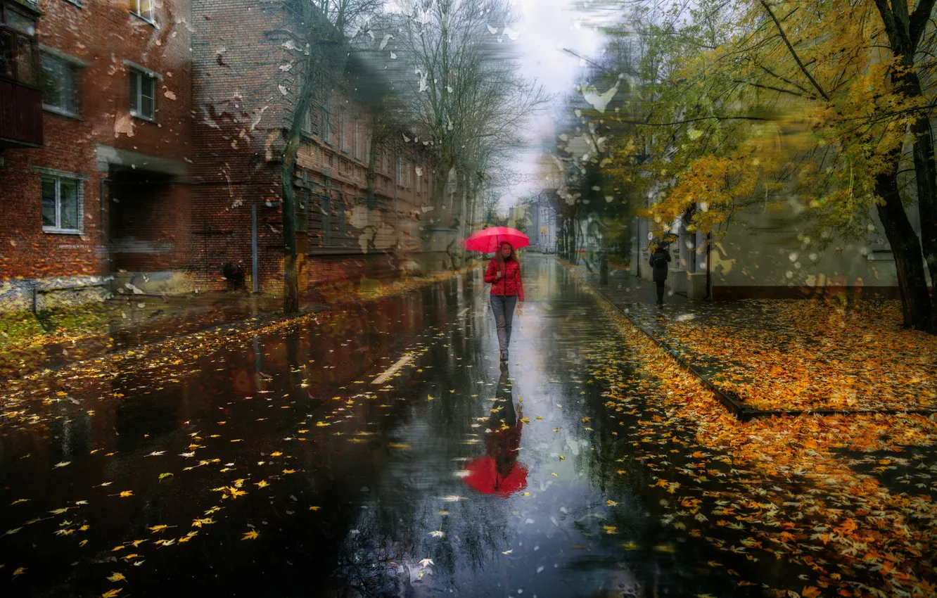 Фото обои дорога, осень, стекло, девушка, капли, деревья, город, дождь