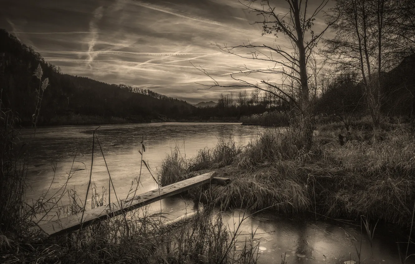 Фото обои деревья, Озеро, черно-белое, доска, меланхолия