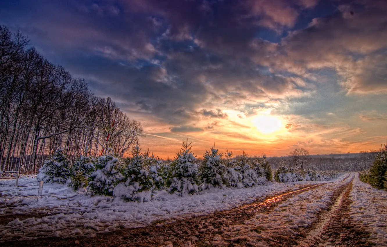 Фото обои зима, дорога, солнце, облака, снег, деревья, закат, елки
