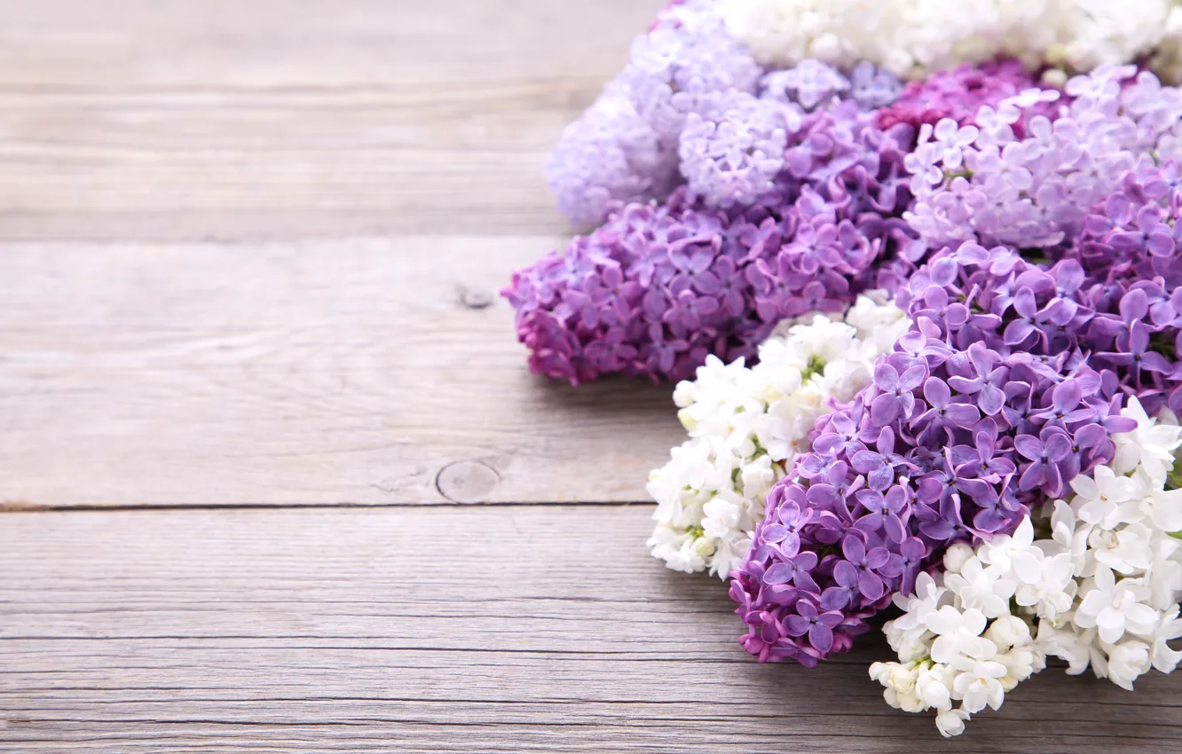 Фото обои цветы, фон, wood, flowers, сирень, purple, lilac