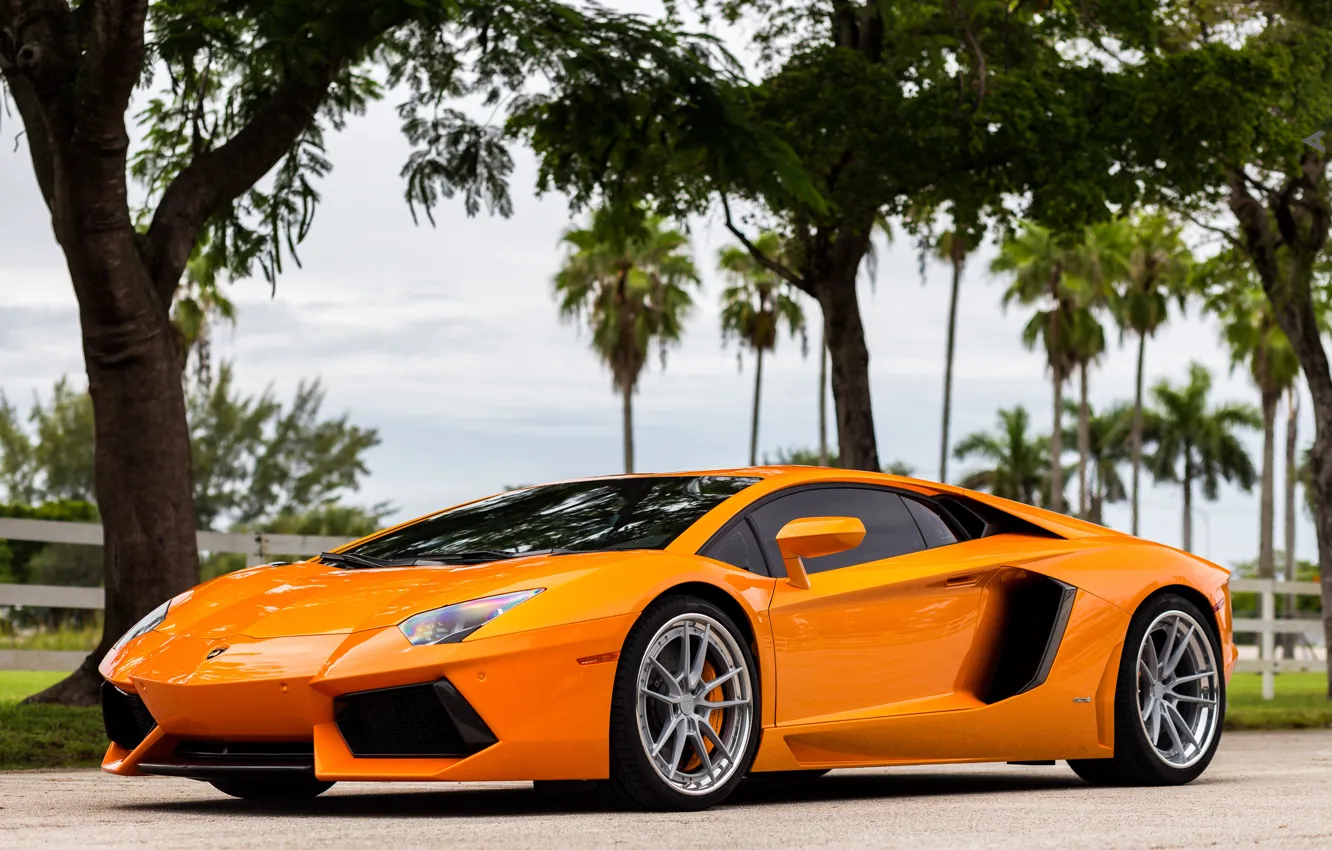 Фото обои Lamborghini, Aventador, Wheels, ANRKY