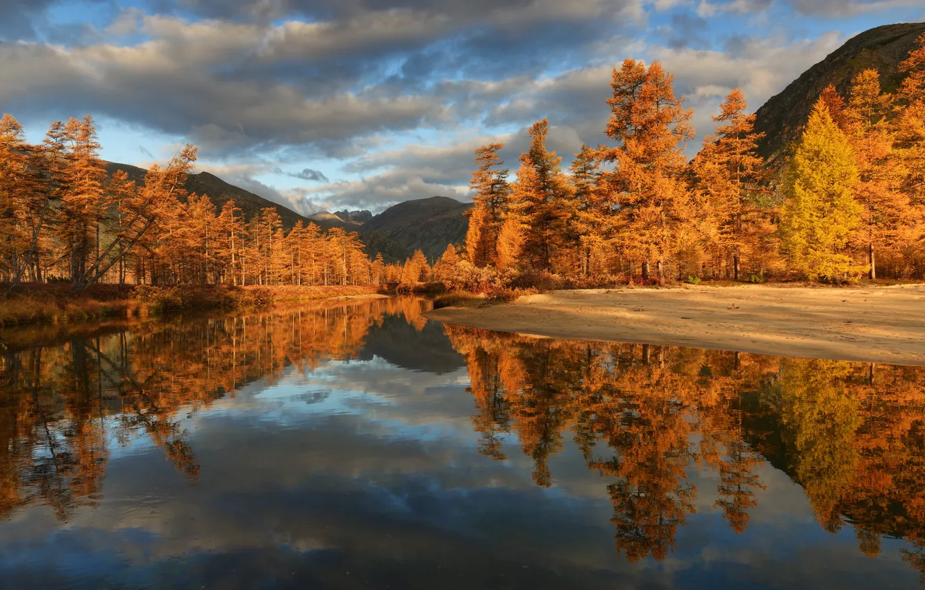 Фото обои осень, облака, деревья, горы, отражение, река, берега, Пурга