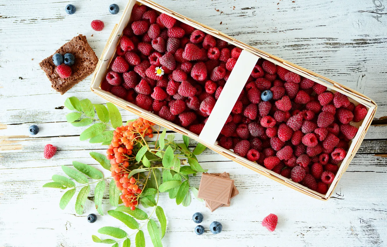 Фото обои малина, шоколад, черника, рябина