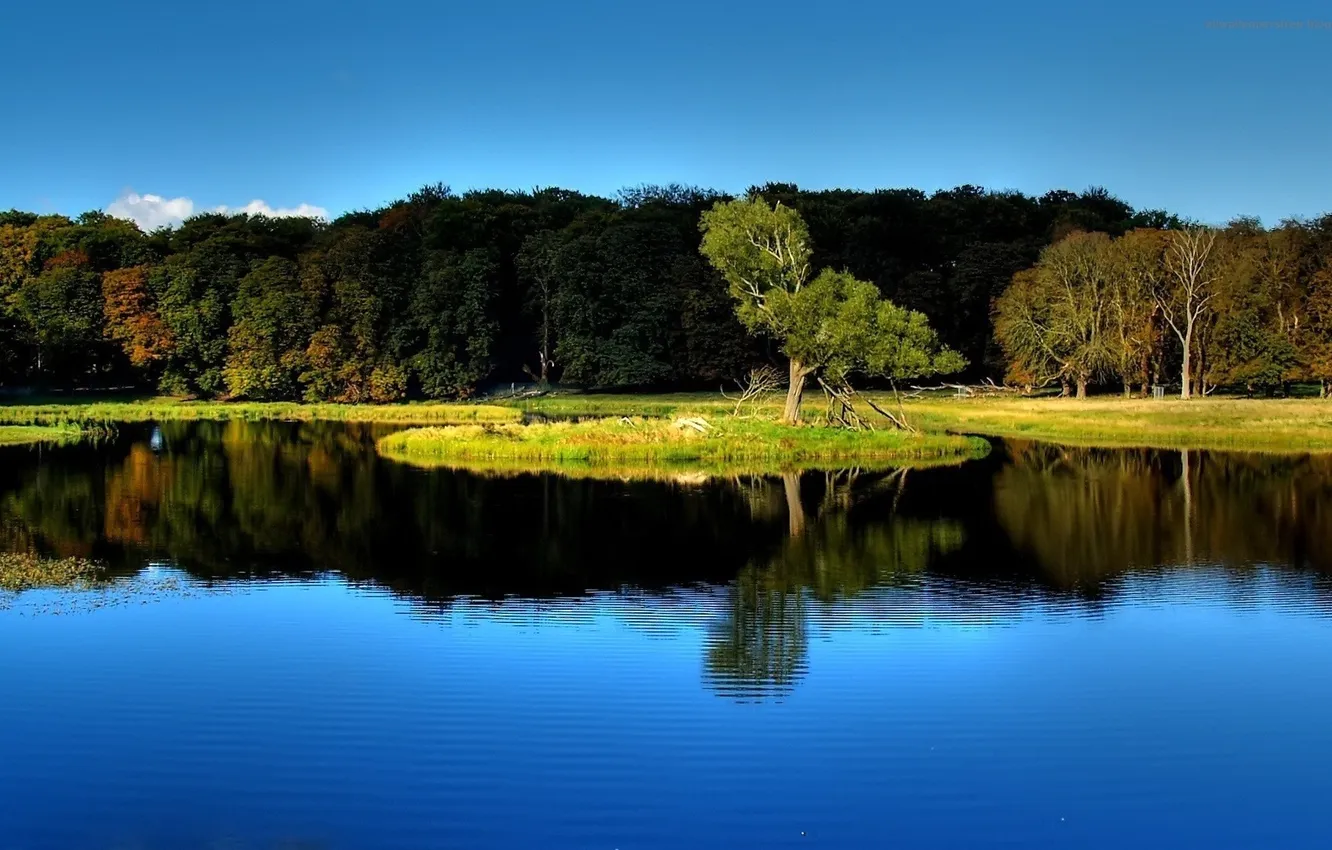 Фото обои осень, деревья, природа, озеро, отражение