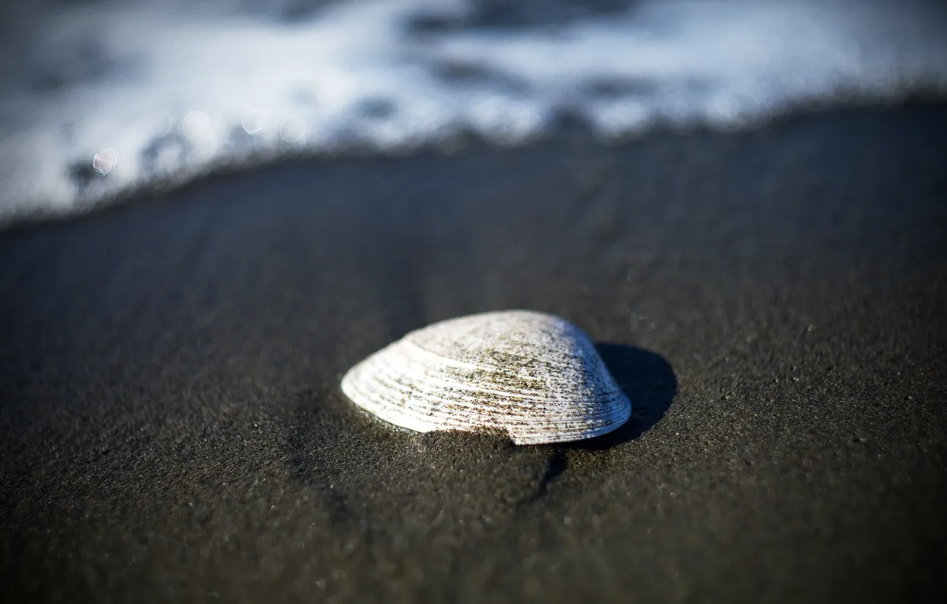 Фото обои песок, море, пляж, вода, макро, природа, берег, волна