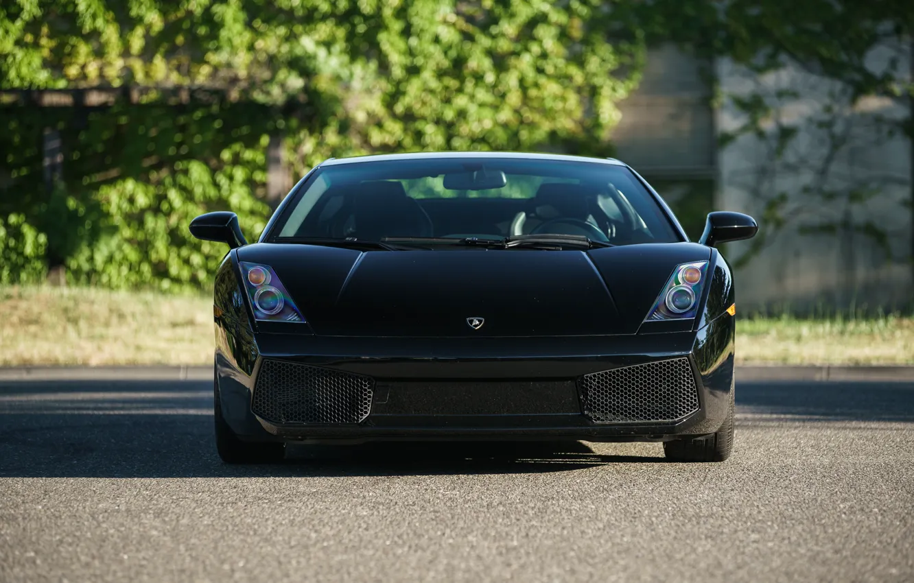 Фото обои Lamborghini, Gallardo, Lamborghini Gallardo, front view