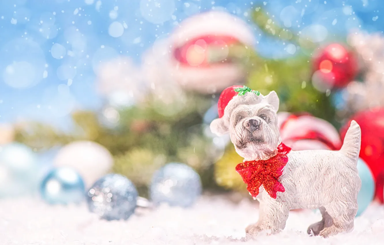 Фото обои шарики, снег, праздник, игрушка, собака, Рождество, Новый год, собачка