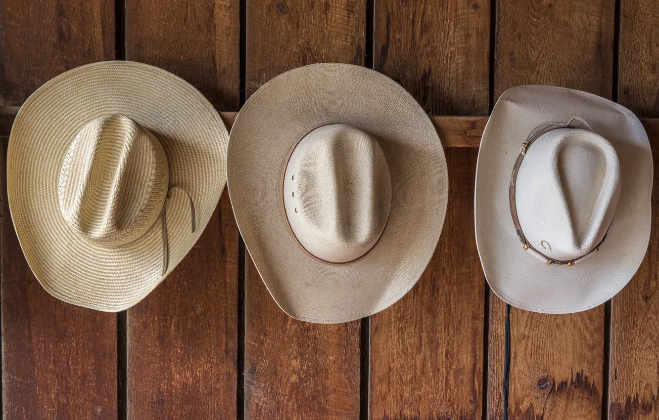 Фото обои wall, hat, wood, leather
