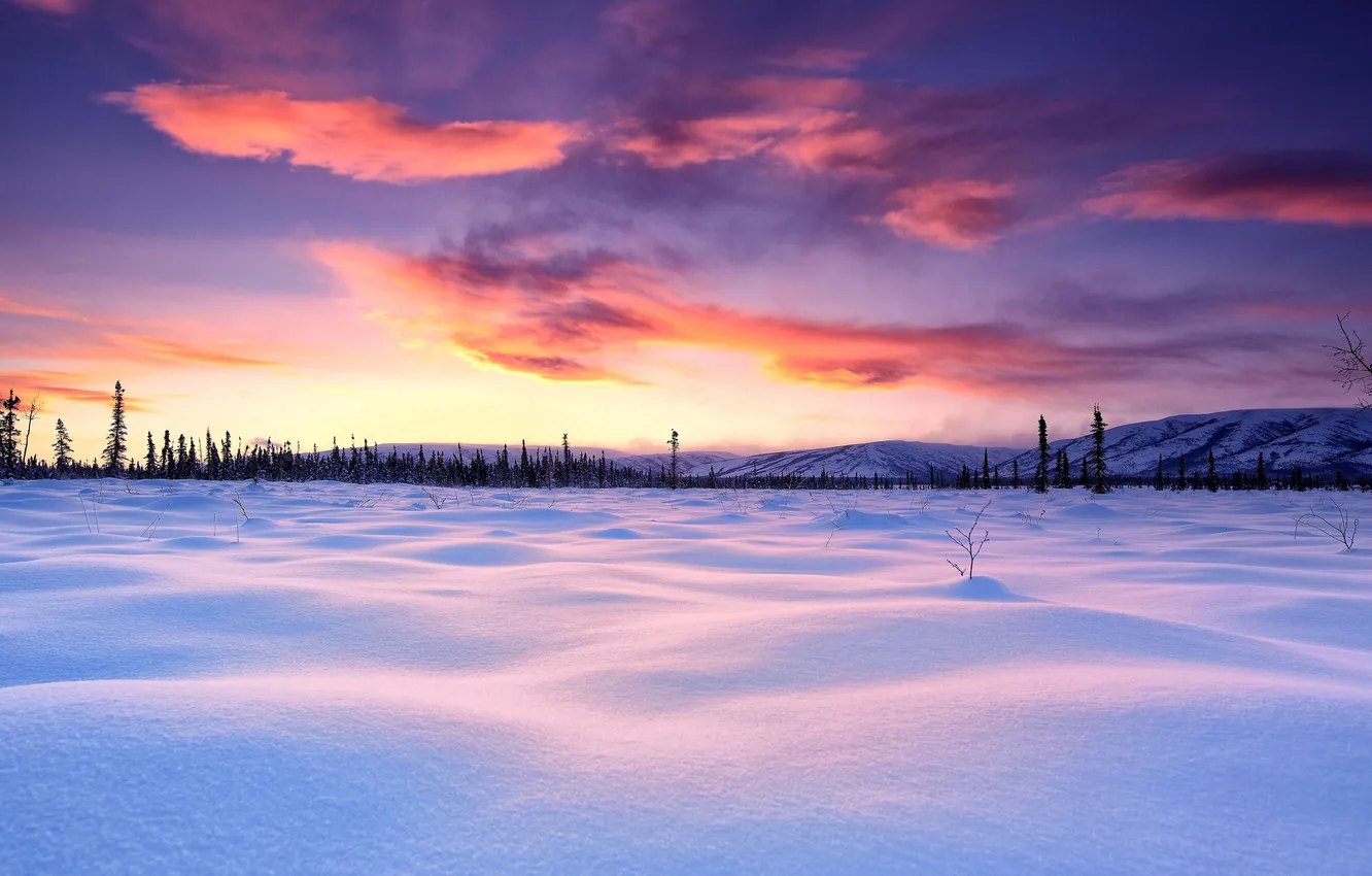 Фото обои зима, небо, снег, деревья, пейзаж, равнина