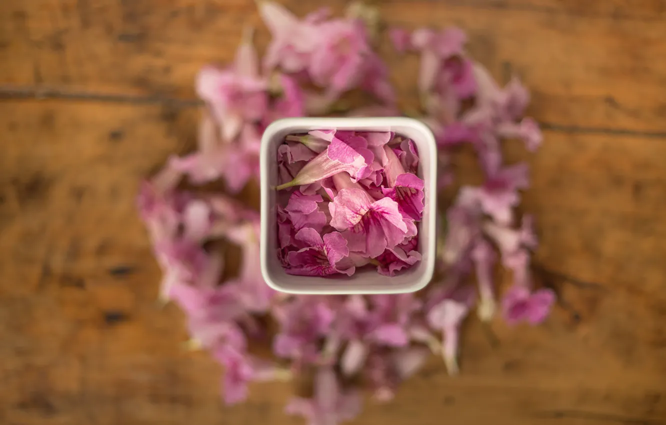 Фото обои square, flowers, petals