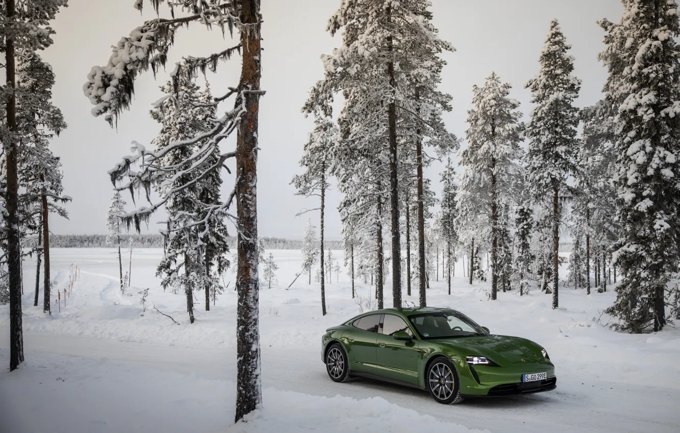 Фото обои снег, деревья, Porsche, зелёный, хвойные, 2020, Taycan, Taycan 4S