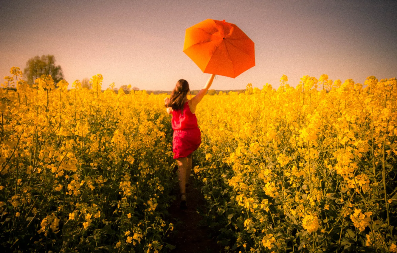 Фото обои girl, umbrella, field of gold